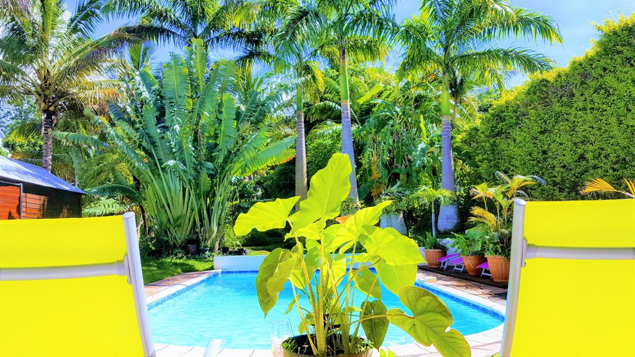 votre vue côté petite varangue sur le jardin de la location de vacances