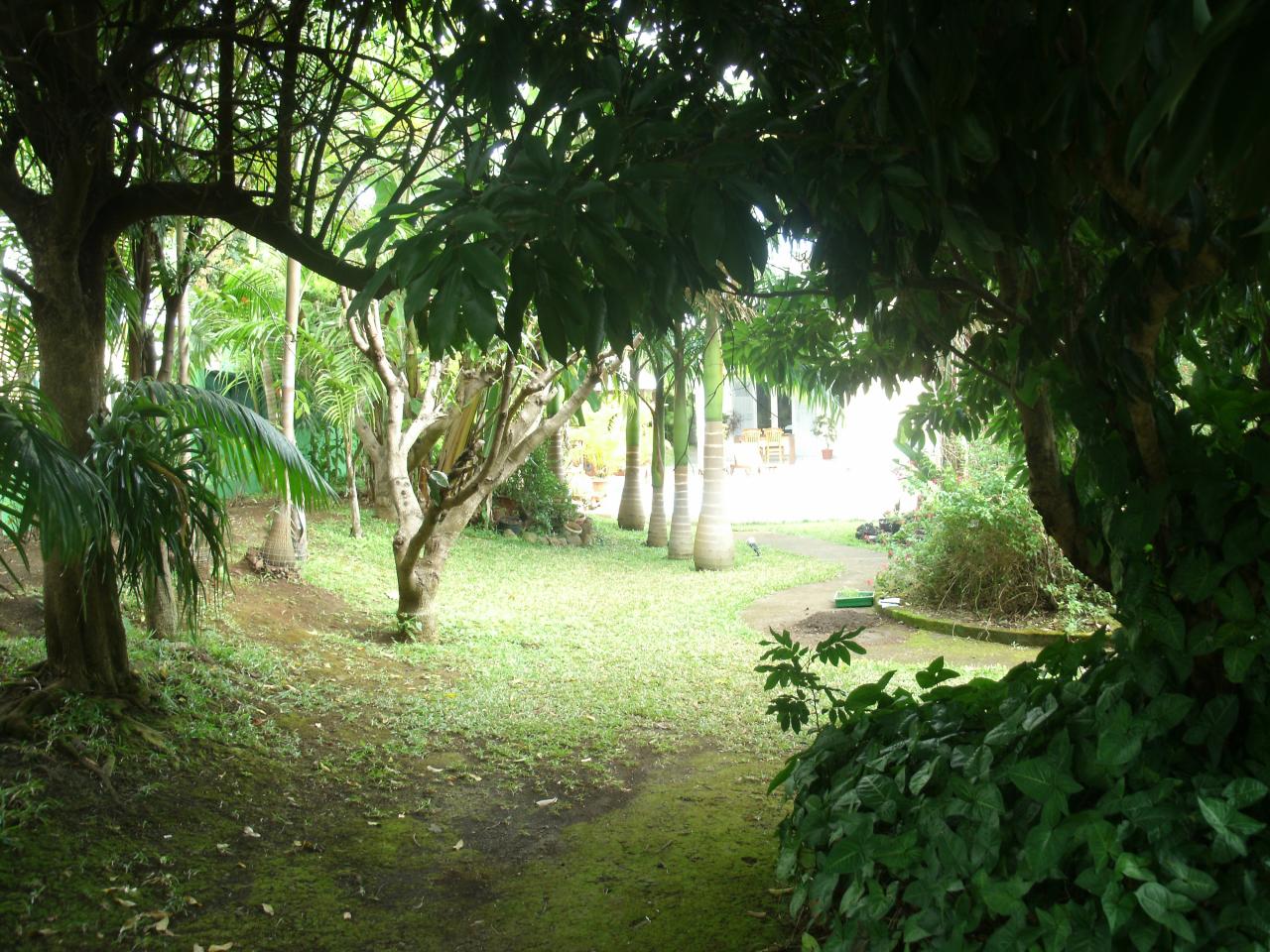 fond du jardin du meublé