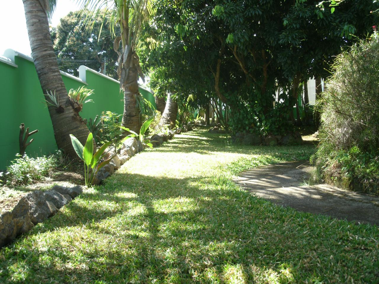 jardin du meublé, verdoyant et amènagé