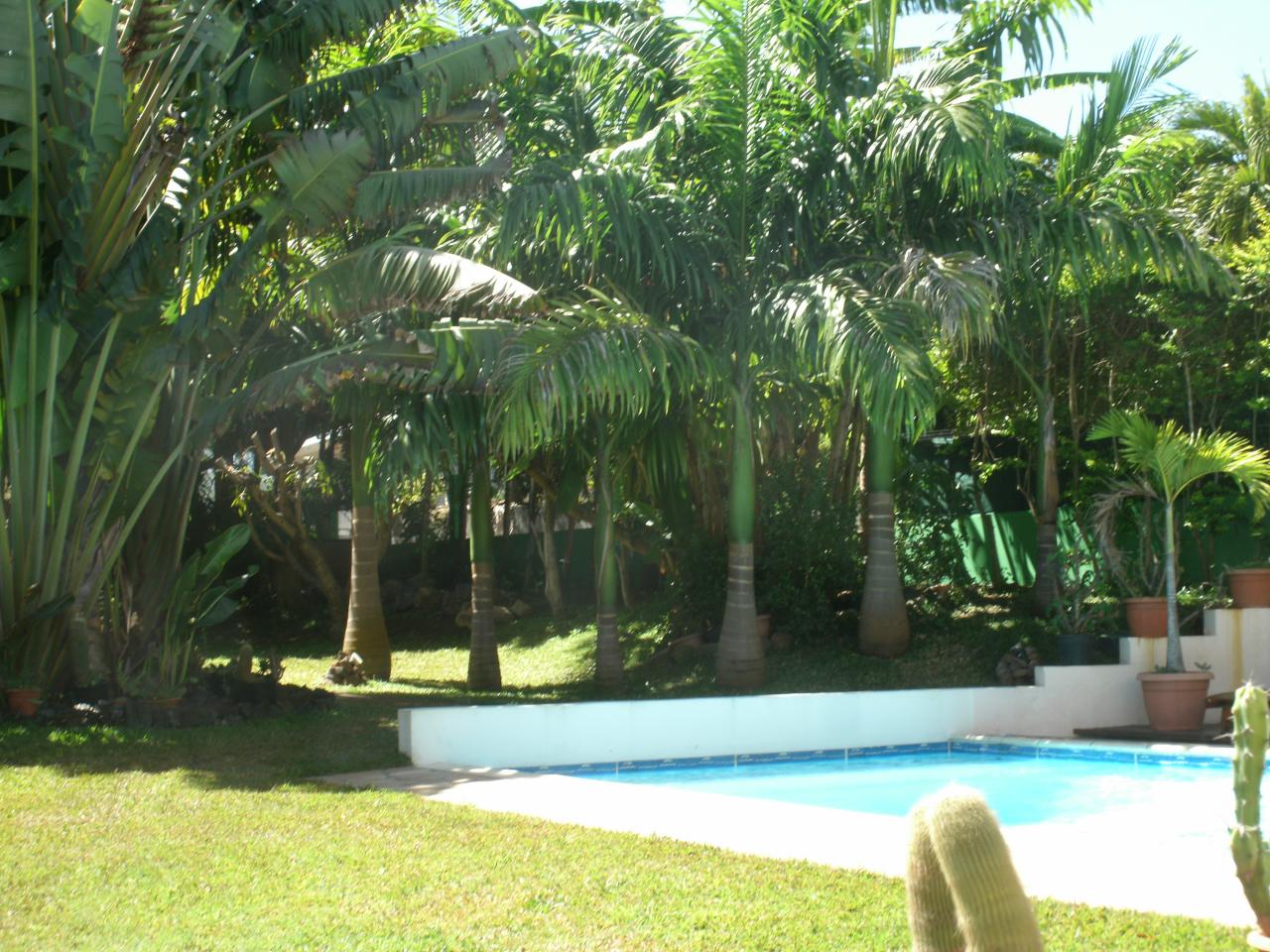 piscine et jardin de l'hébergement