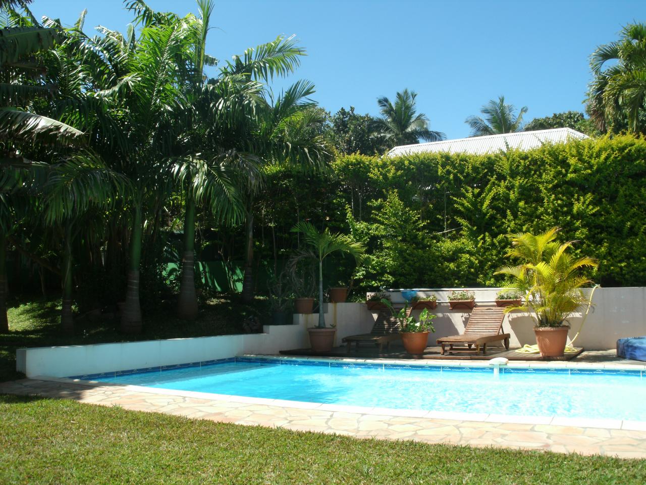 piscine et jardin du meublé de tourisme