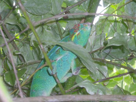 photos de la location : vous pouvez me rencontrer dans le jardin