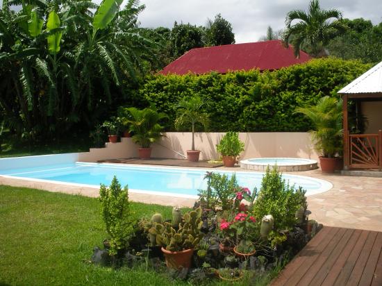 jardin et piscine de la location vacances