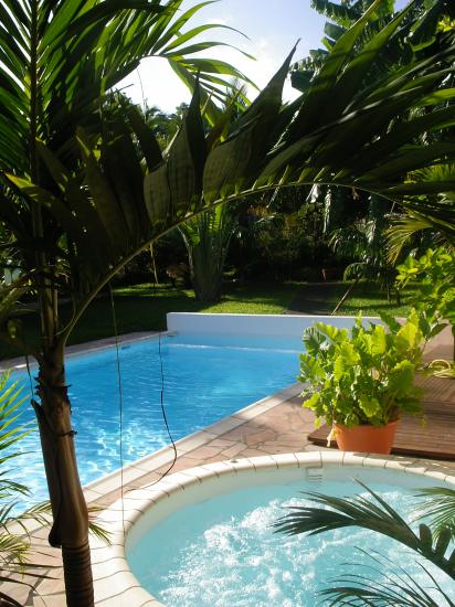 jacuzzi,piscine et jardin du meublé de tourisme