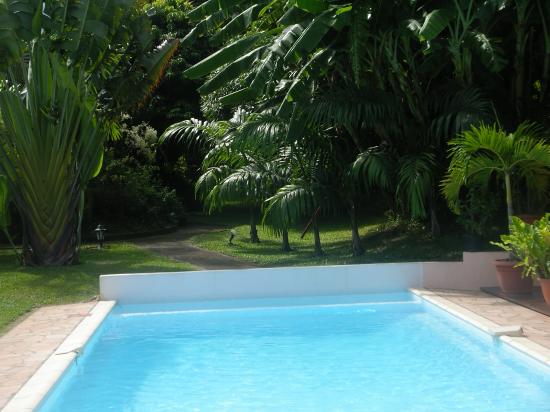 piscine et jardin du meublé de tourisme