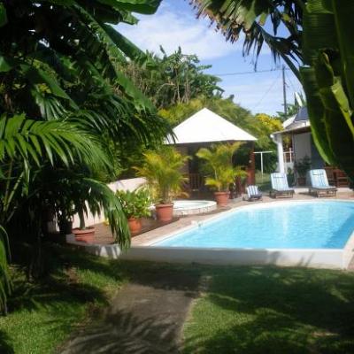 vue de la piscine du fond du jardin du meublé