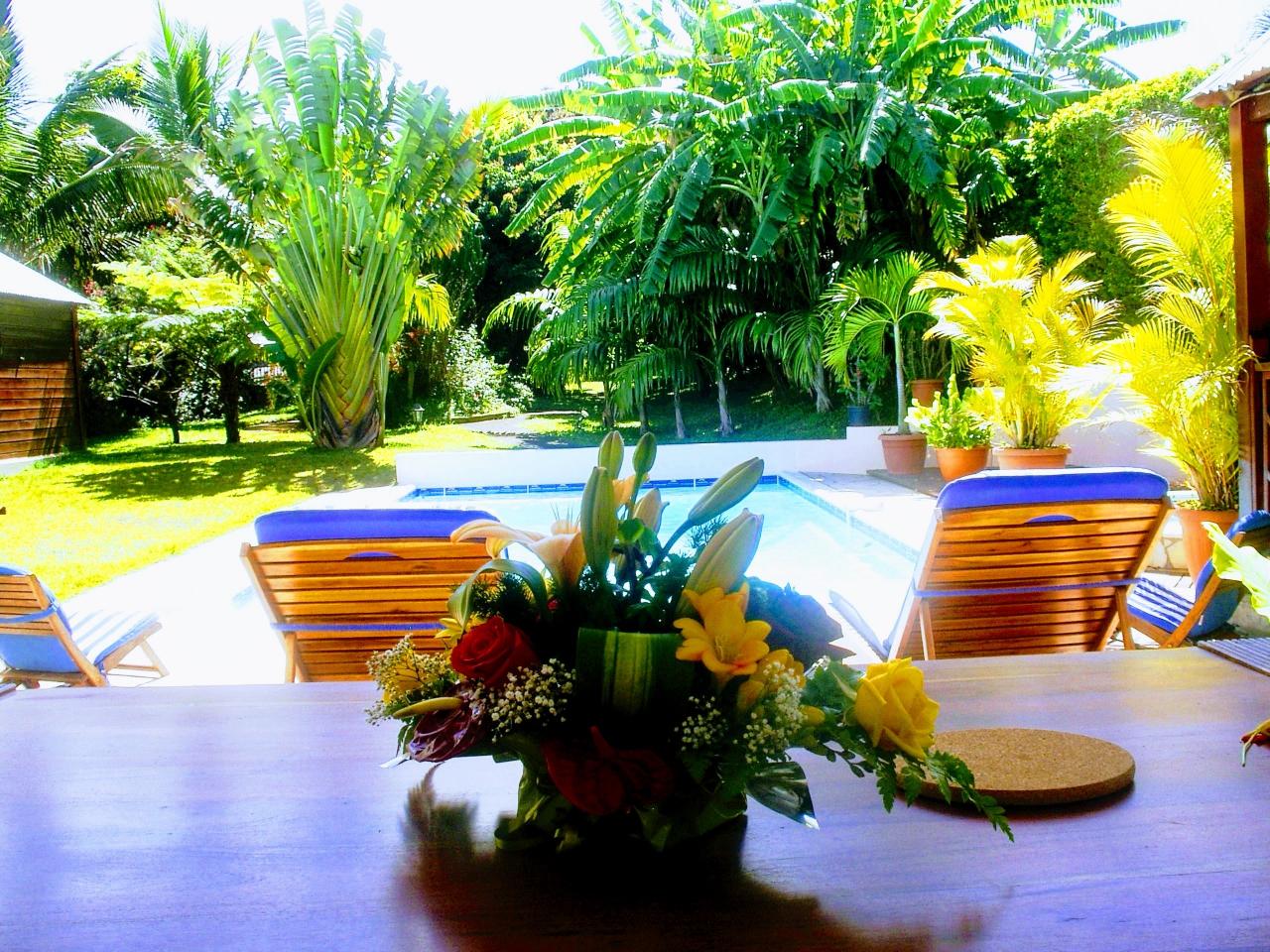 vue de la piscine et du jardin