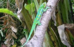 2005-04-30-endormi-jardin-010.jpg